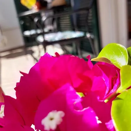 Apartment Pinia Lovran With Balcony & Free Parking * Lovran