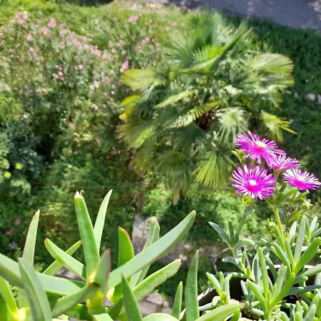 Apartment Apartment Pinia Lovran With Balcony & Free Parking *