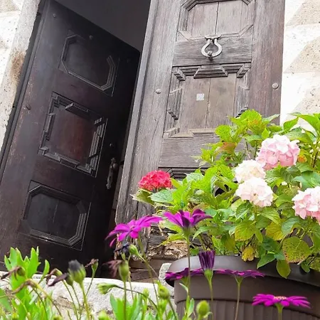 Apartment Apartment Pinia Lovran With Balcony & Free Parking