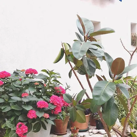 Apartment Pinia Lovran With Balcony & Free Parking * Lovran